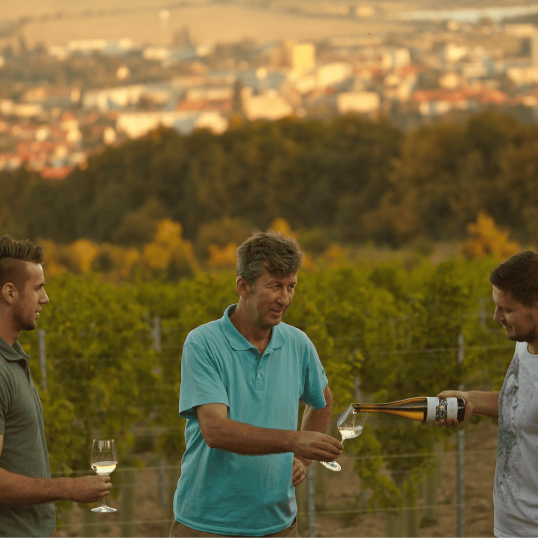 Rariga Winery