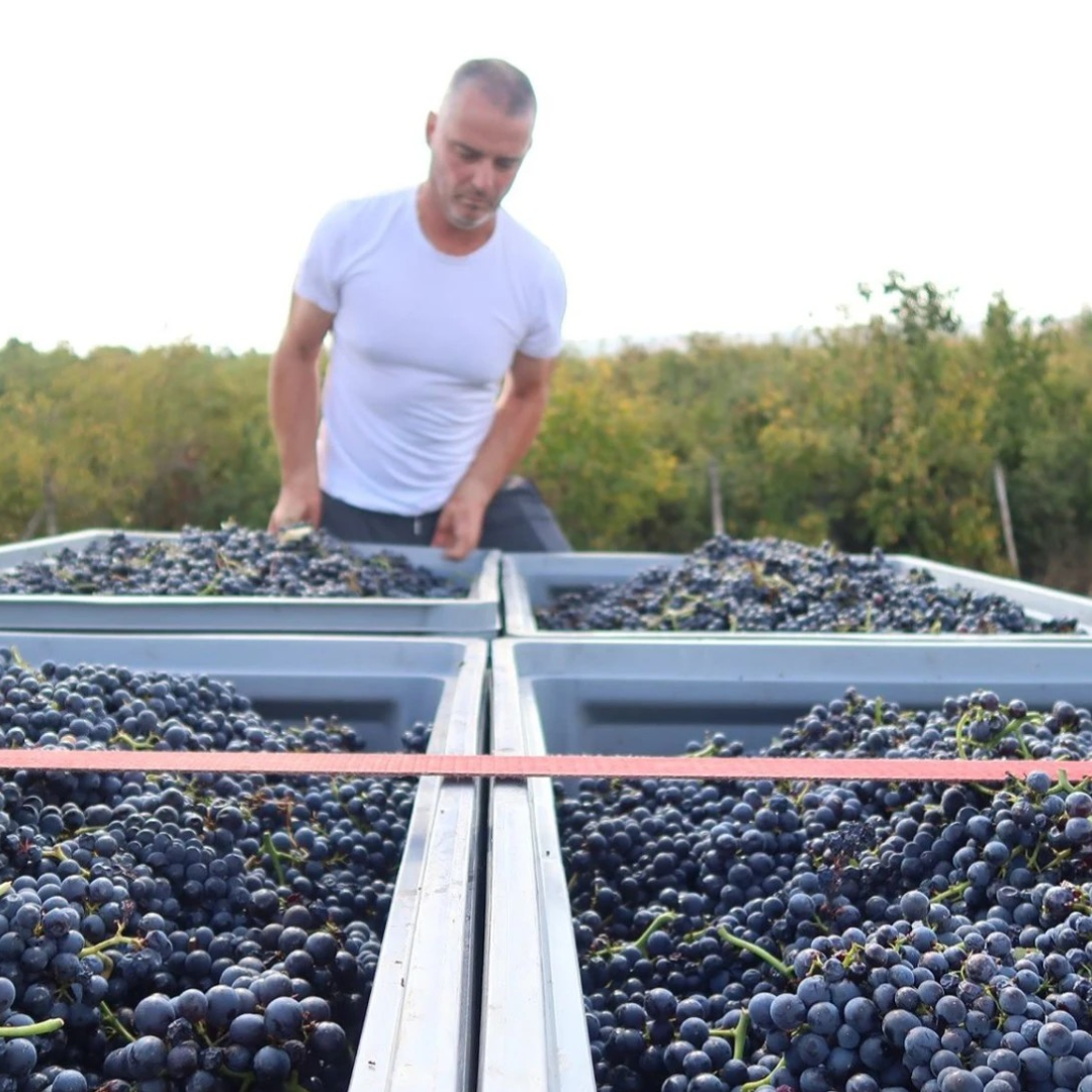 Repa Winery