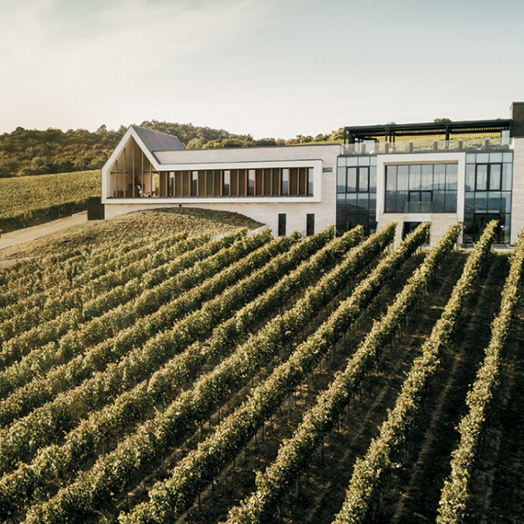 Vilagi Winery