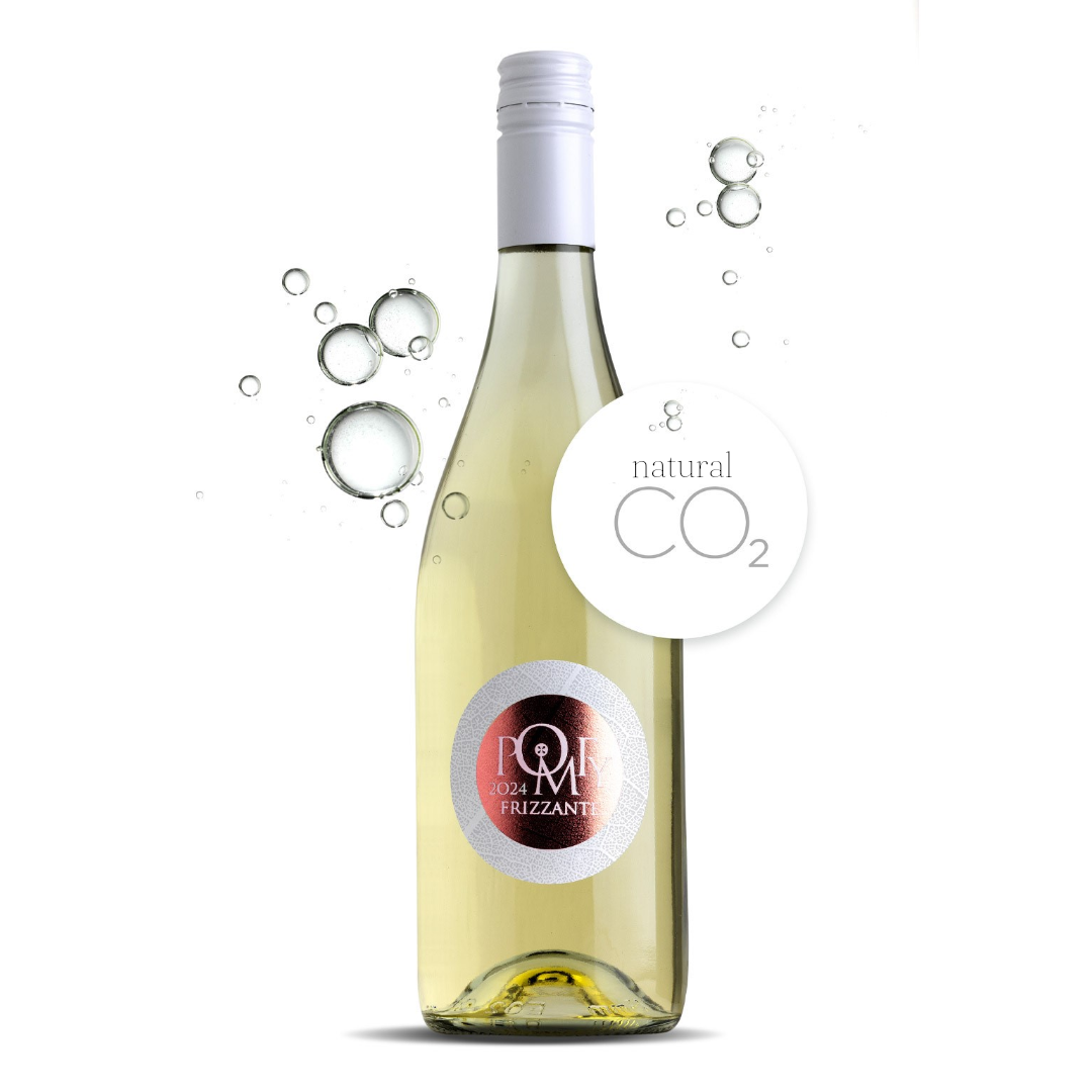 Martin Pomfy - FRIZZANTE BLANC 2024