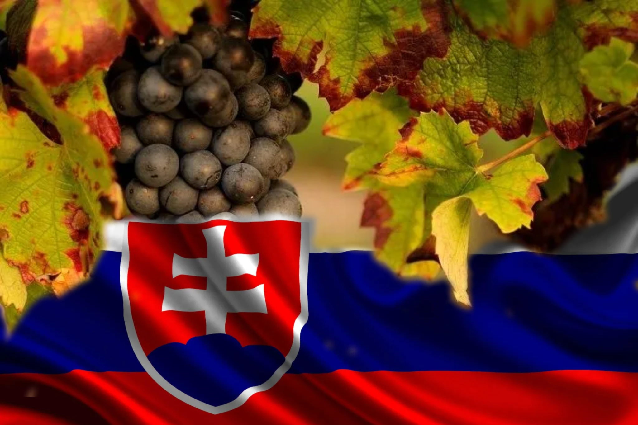 Slovakia: The Best Kept Secret