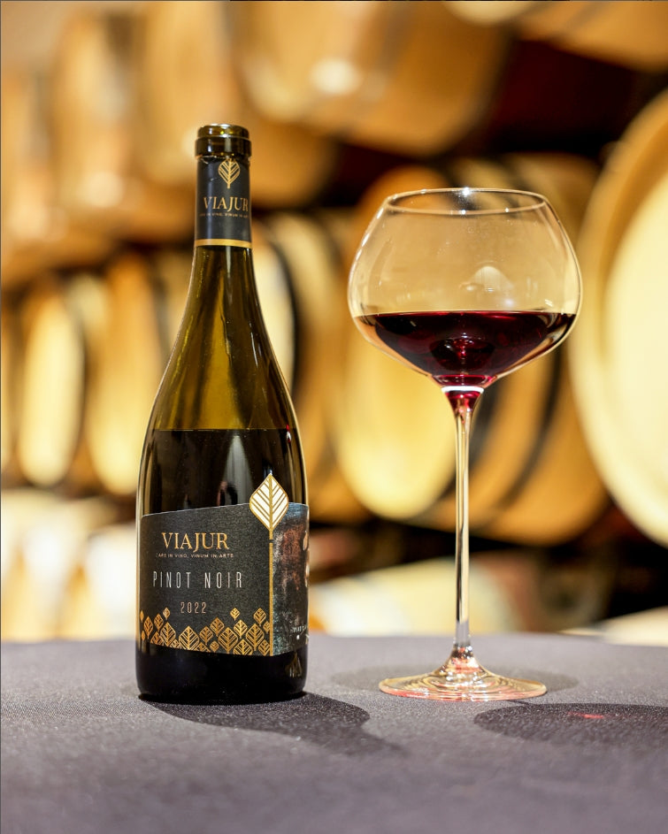 ViaJur - Pinot Noir 2022, ARS IN VINO
